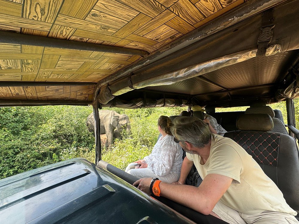 Elephant herd at Udawalawe National Park